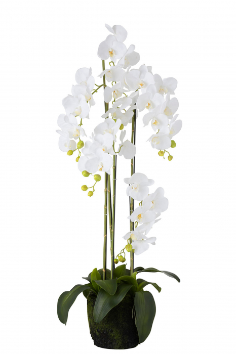 Orhidee artificiala, Fibre sintetice, Alb, 32x32x120 cm