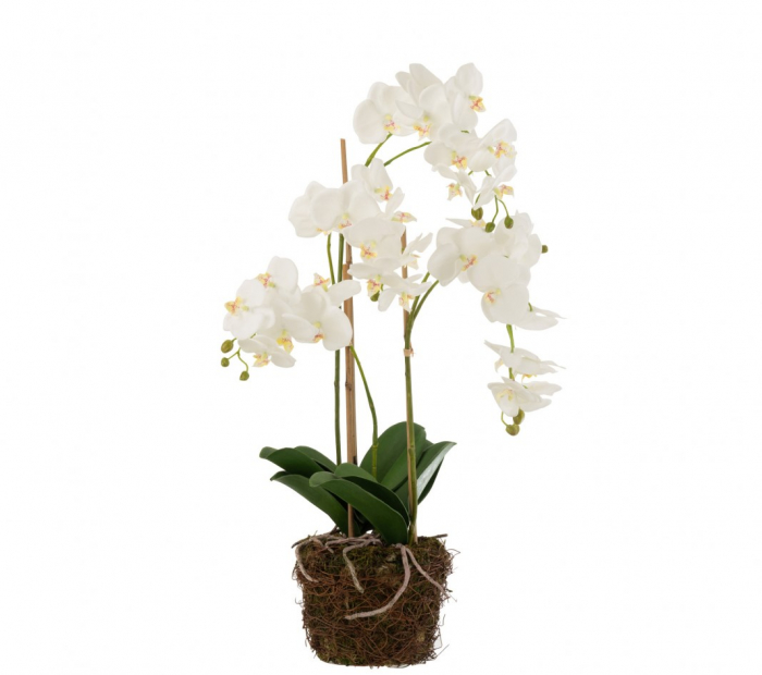 Orhidee artificiala, Textil, Alb, 40x30x75.5 cm