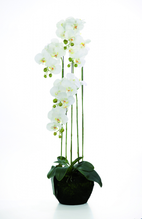 Orhidee la ghiveci artificiala, Fibre artificiale, Alb, 110 cm