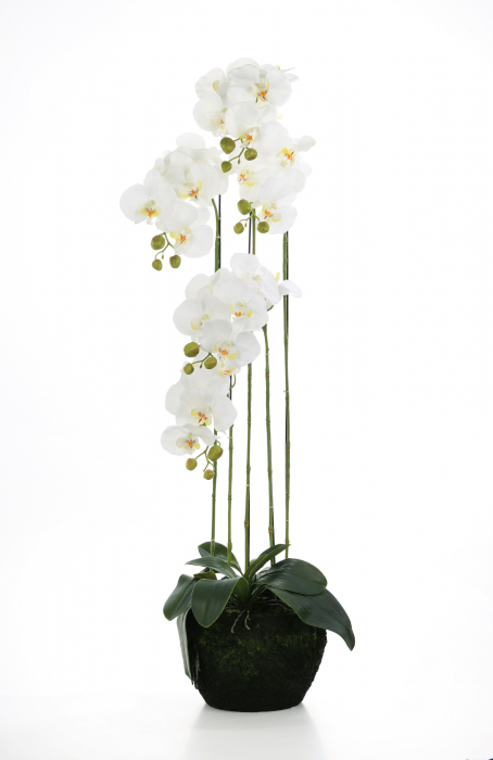 Orhidee la ghiveci Mossball cu 53 flori, artificial, alb, 119 cm