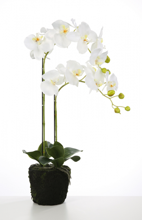 Orhidee la ghiveci Mossball, artificial, alb, 70 cm