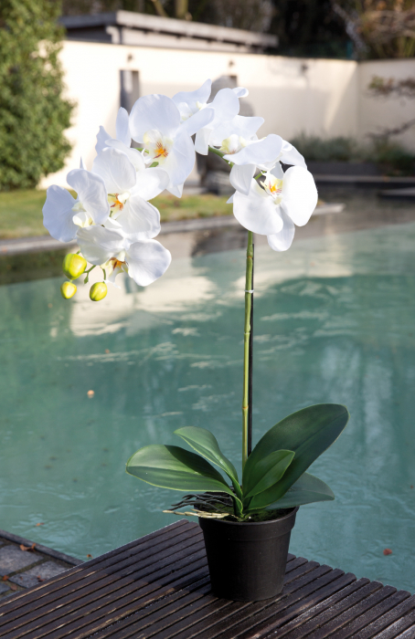 Orhidee la ghiveci Phalaenopsis, artificial, alb, 60 cm