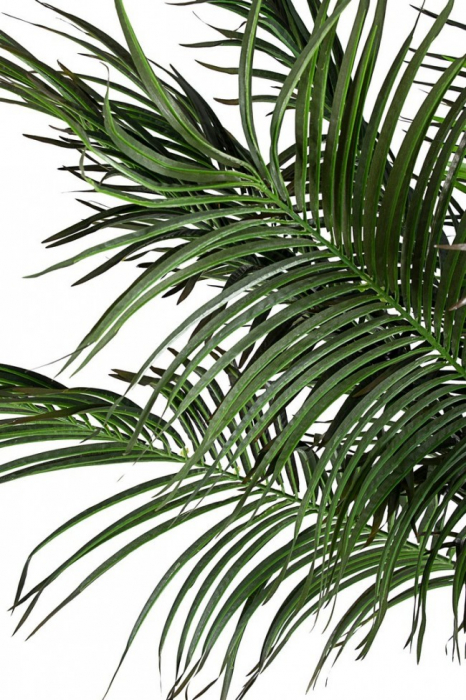 Palmier artificial, plastic, verde, 210cm [2]
