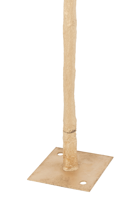 Palmier, Auriu S [2]