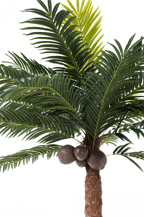 Palmier artificial, Plastic, Verde, 190x190x350 cm [2]