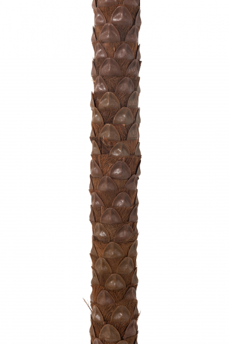 Palmier artificial, Plastic, Verde, 190x190x350 cm [3]
