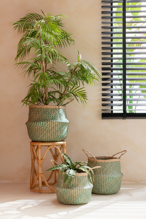 Palmier, Textil, Verde, 70x40x112 cm [1]