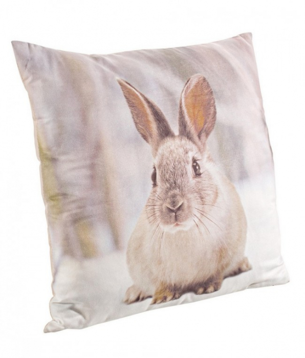 PERNA IEPURE DE ZAPADA 45X45 [1]