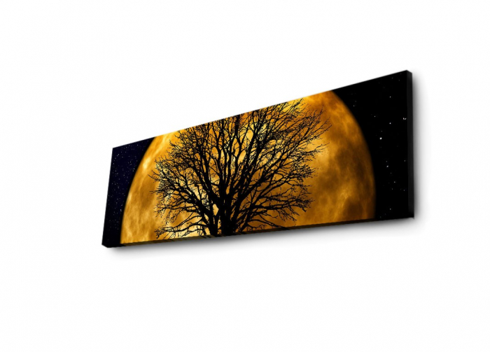 Pictură decorativă pe pânză ă cu LED [5]