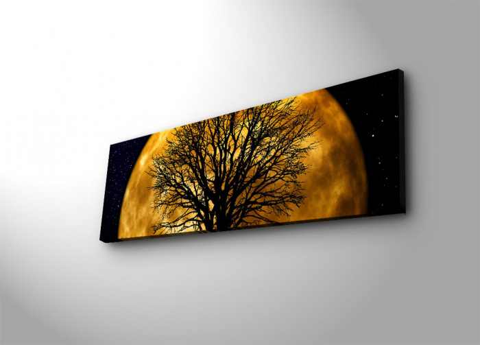 Pictură decorativă pe pânză ă cu LED [2]