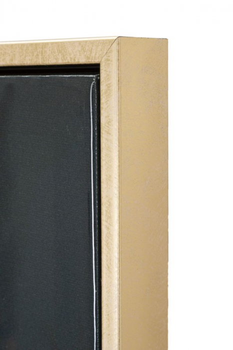 Pictură lăcuită pe pânză, MONKY ramă inclusă 52,5x2,8x72,5 cm [4]