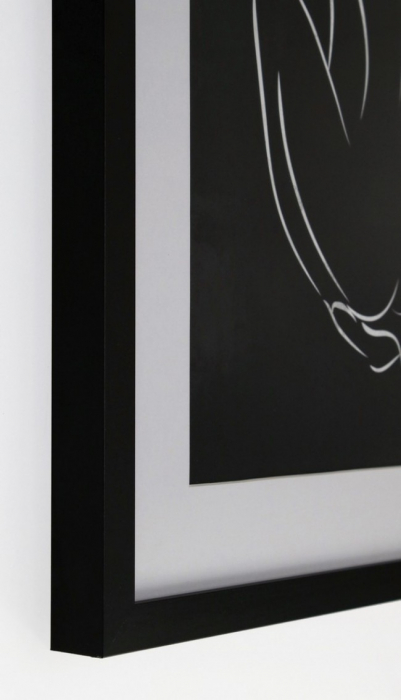 Pictura Refined 198 40X60 [2]
