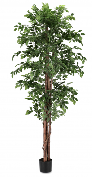 Planta artificiala FICUS, verde, 210 cm