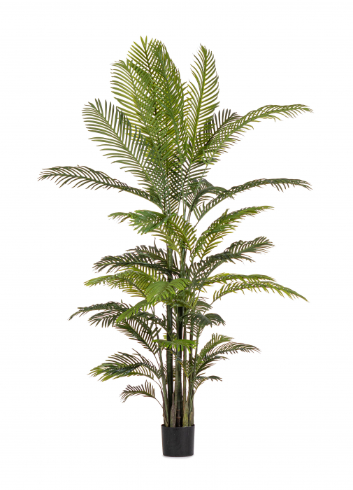 Planta artificiala KENZIA, verde, 150X210 cm