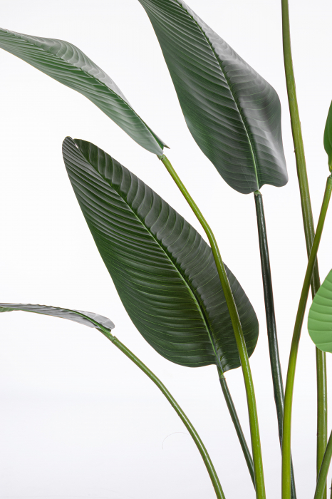 Planta artificiala BANAN, verde, 120X235 cm [2]