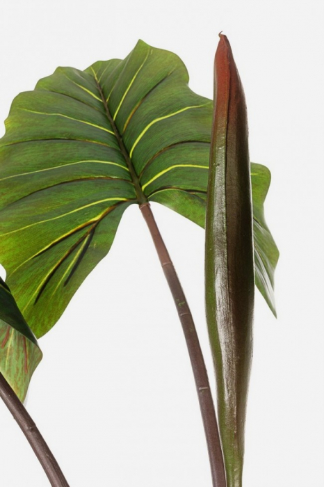 Planta artificiala la ghiveci Dieffenbachia, Plastic, Verde, x100x134 cm [2]