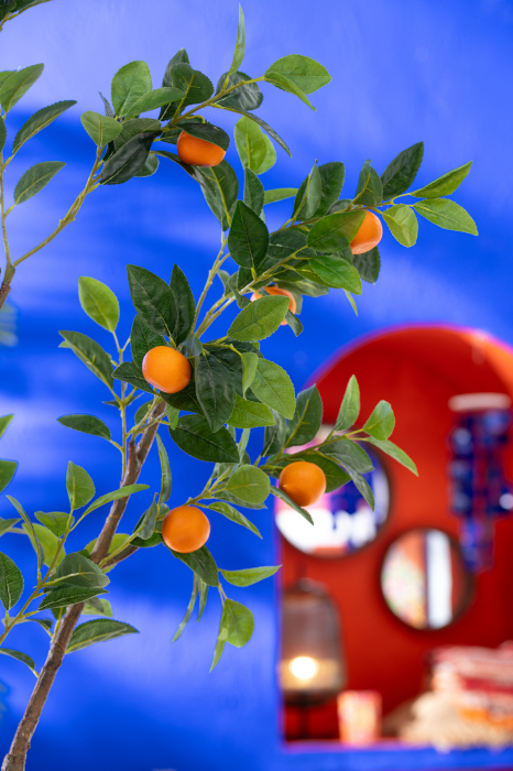 Planta artificiala, ORANGE [2]