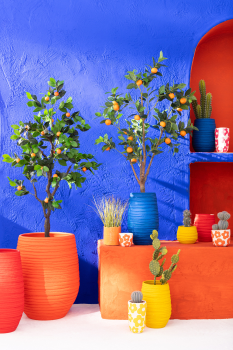 Planta artificiala, ORANGE [1]