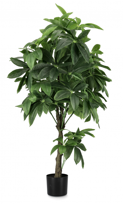 Planta artificiala PACHIRA, verde, 160 CM