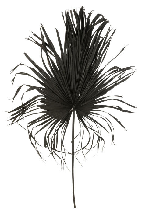 Planta artificiala, PALMTREE LEAF [1]