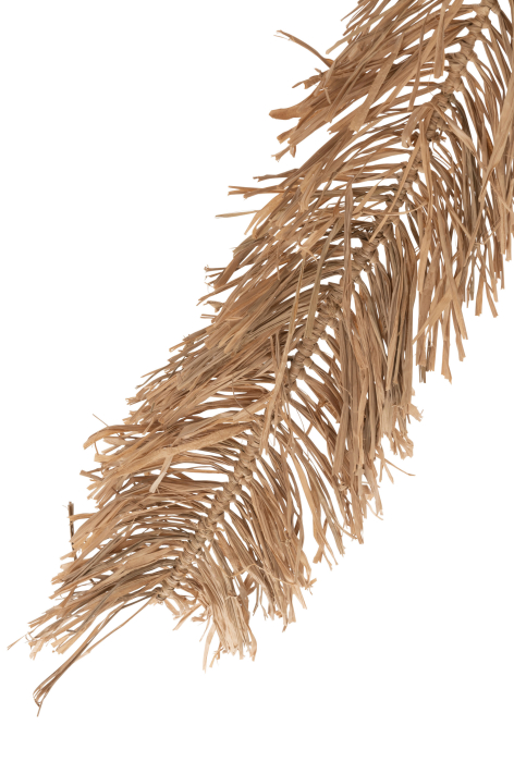 Planta artificiala, PALMTREE SEAGRASS, L [3]