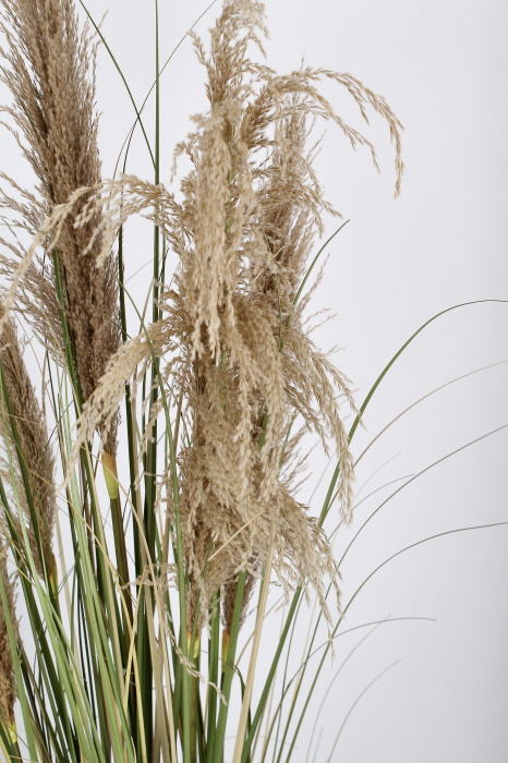 Planta artificiala Pampas cu vaza, Material sintetic, Verde, 145h [2]