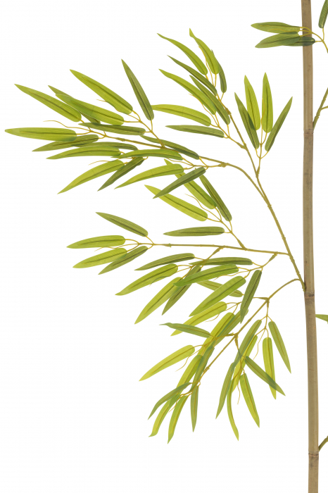 Plantă de bambus, verde, artificială, L 40| W 40| H 220 cm [2]