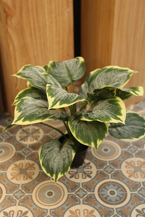 Poza Planta decorativa la ghiveci Juna, verde, 53 cm