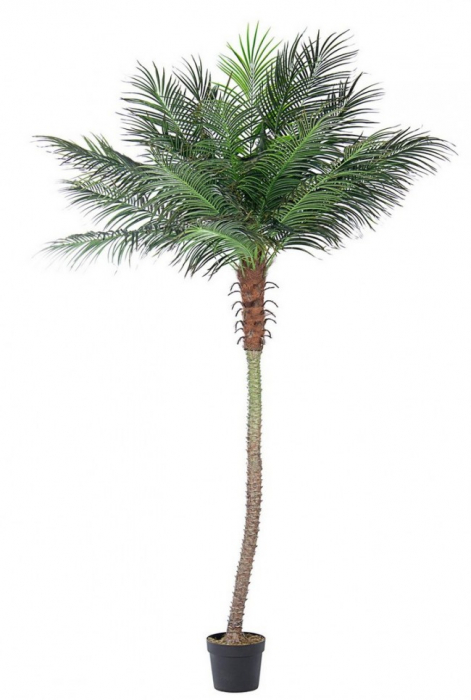 Planta decorativa Palma, Fibre sintetice, Verde, 300xx