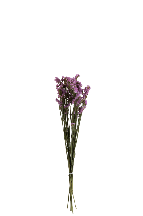 Planta, Fibre naturale, Mov, 13x13x73 [1]