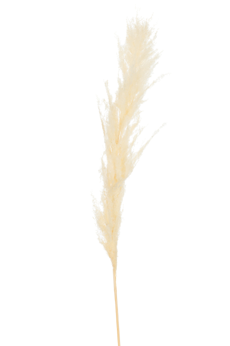Planta, Fibre naturale, Natural, 13x13x128 [1]