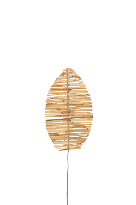 Planta, Fibre naturale, Natural, 25x2x91 [1]