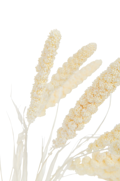 Planta, Fibre naturale, Natural, 9x9x93 [2]
