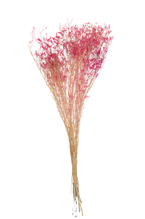 Planta, Fibre naturale, Roz, 15x15x75 [1]