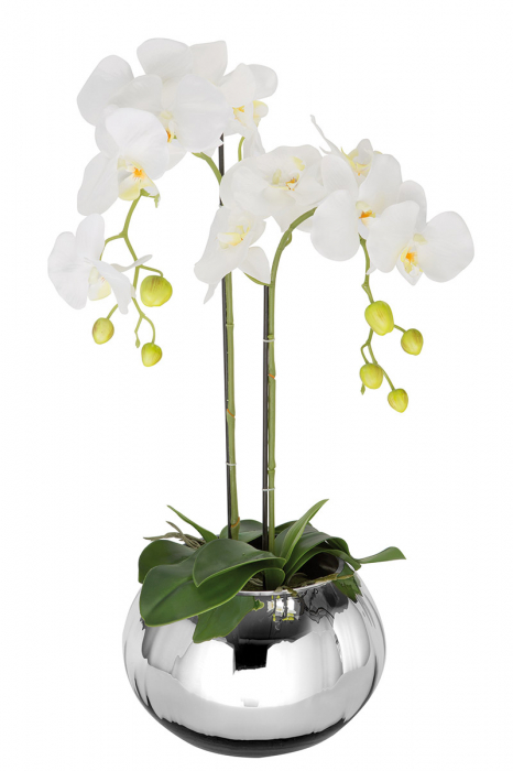 Plantă în ghiveci, Orhidee, Sintetică, verde, albă, PU 2, H. 70 cm [2]