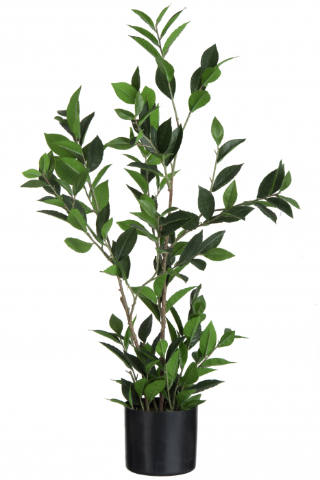 Planta in ghiveci, Plastic, Verde, 26x26x93 cm