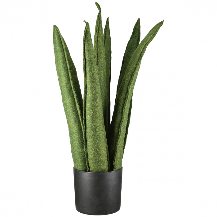 Plantă în ghiveci, Sansevieria, "Feltro", Fetru, verde, PU 2, H 60 cm, D 14 cm [1]