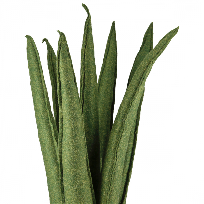 Plantă în ghiveci, Sansevieria, "Feltro", Fetru, verde, PU 2, H 60 cm, D 14 cm [2]