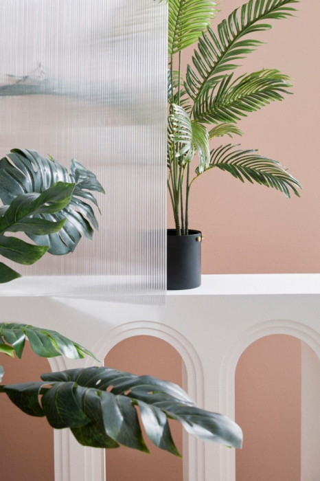 Planta Kenzia cu ghiveci 14 Frunze 120 Cm [4]