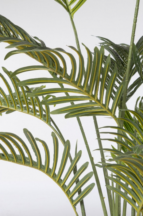 Planta Kenzia cu ghiveci 14 Frunze 120 Cm [2]