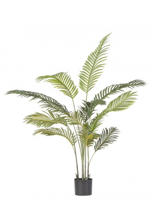 Planta Kenzia cu ghiveci 14 Frunze 120 Cm [1]