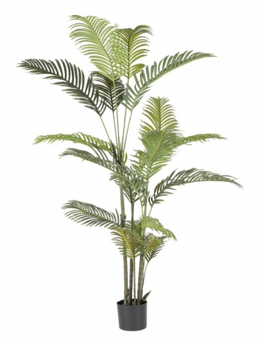 Planta Kenzia cu ghiveci 18 Foi 180 Cm [1]