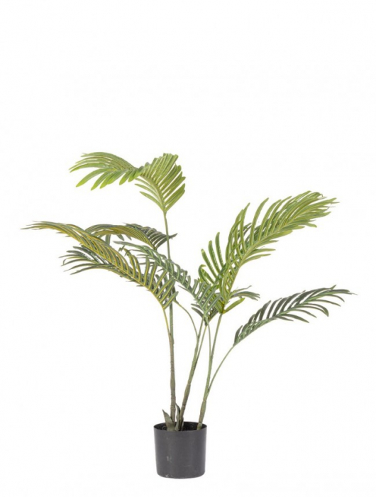 Planta Kenzia cu ghiveci 9 Niveluri H 80 [1]
