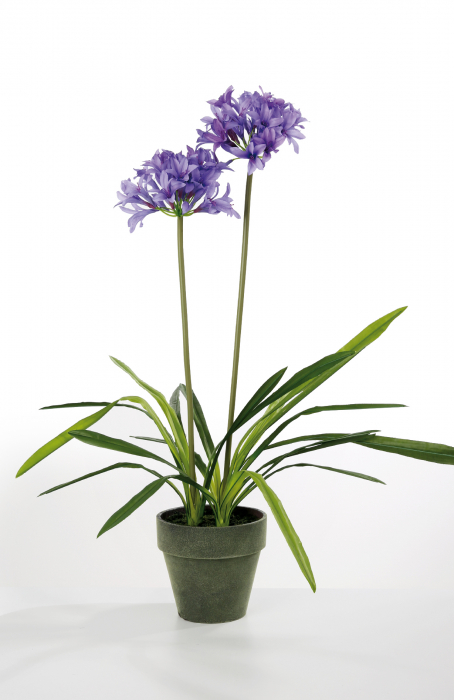 Planta la ghiveci Agapanthus, artificial, mov, 70 cm