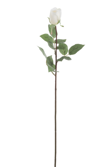 Planta, Material sintetic, Alb, 12.5x12.5x74 [1]