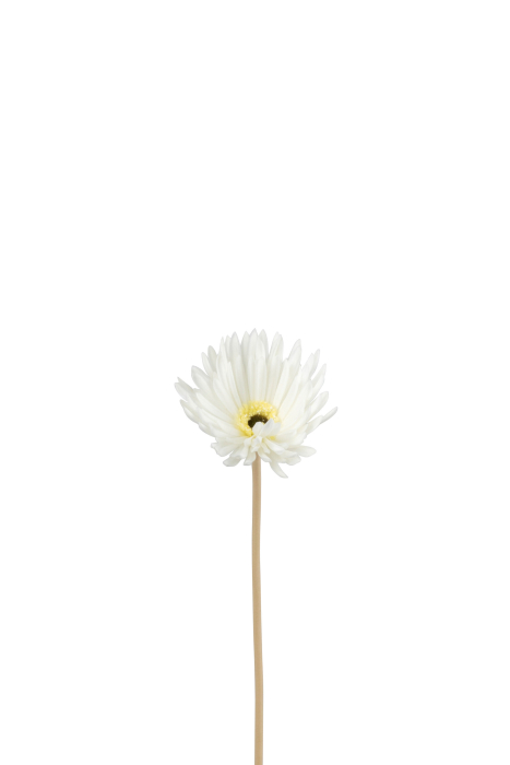Planta, Material sintetic, Alb, 23x10x10 [1]