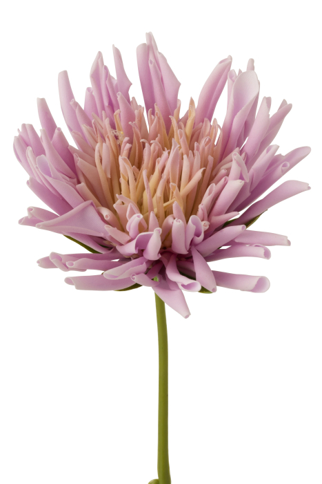 Planta, Material sintetic, Mov, 7x6x40.5 [3]