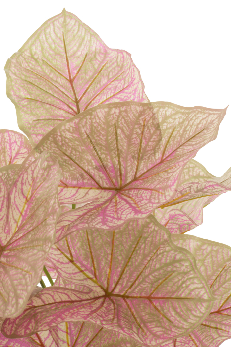 Planta, Material sintetic, Roz, 25x25x57 [2]