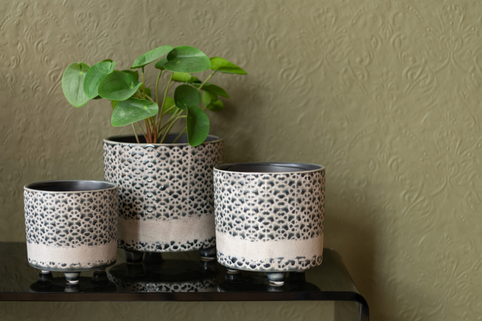 Planta, Material sintetic, Verde, 10.5x10.5x28.5 [4]