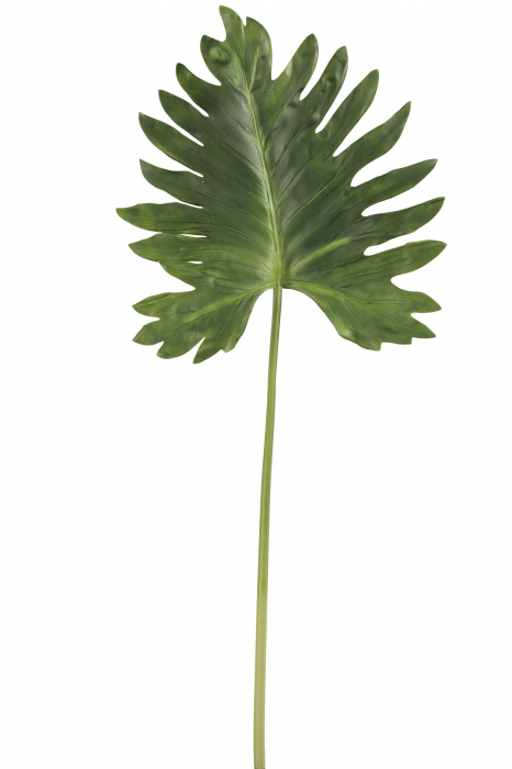 Planta, Material sintetic, Verde, 106x43x2